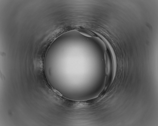 X0000090930617200708061604