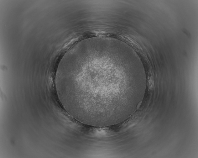 X0000090930618200708061604