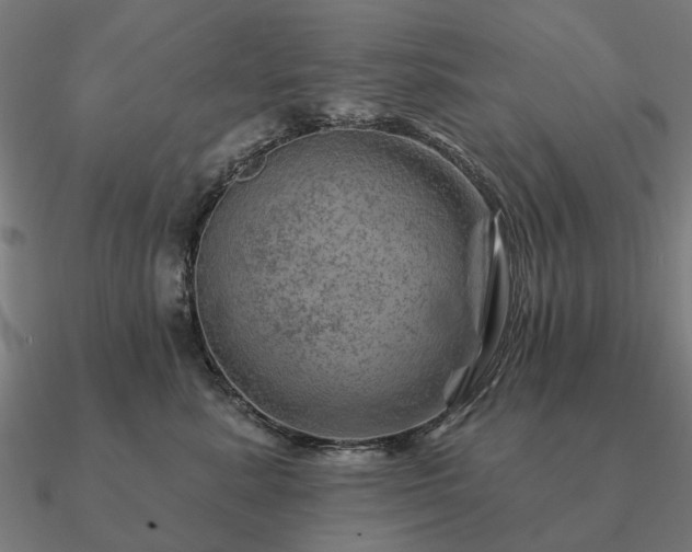 X0000090930619200708061604