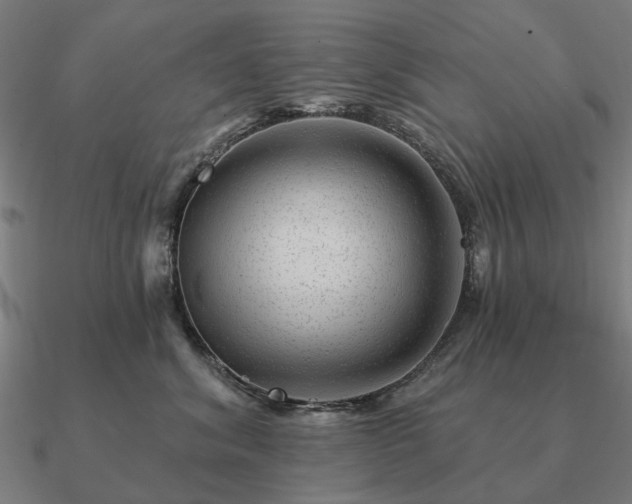 X0000090930620200708061604