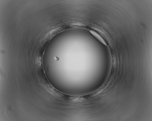 X0000090930621200708061604