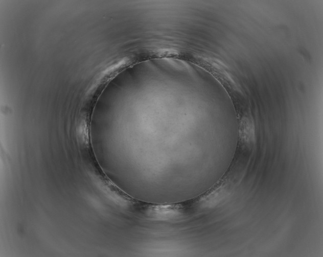 X0000090930622200708061604