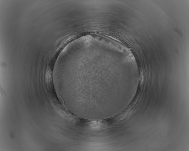 X0000090930623200708061604