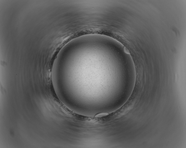 X0000090930624200708061604