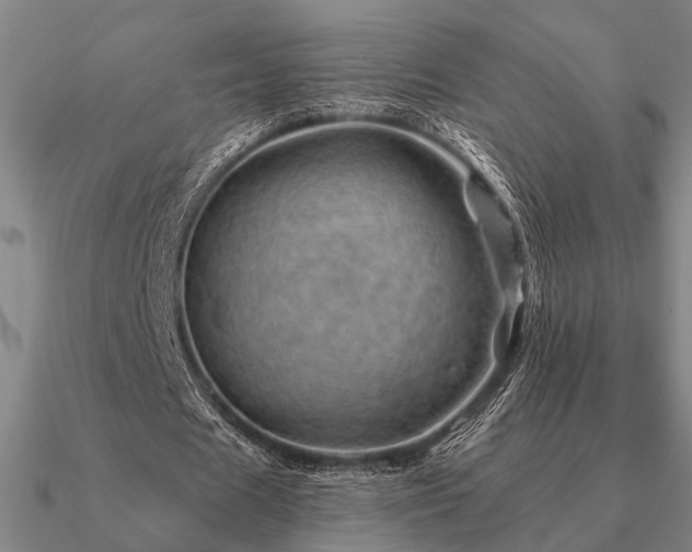 X0000090930625200708061603