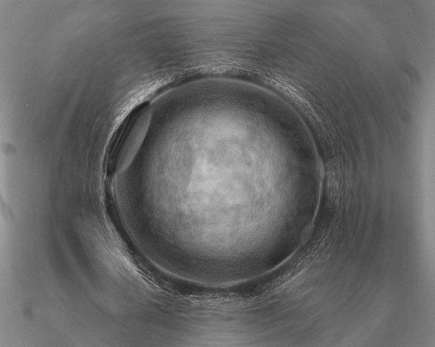 X0000090930626200708061603