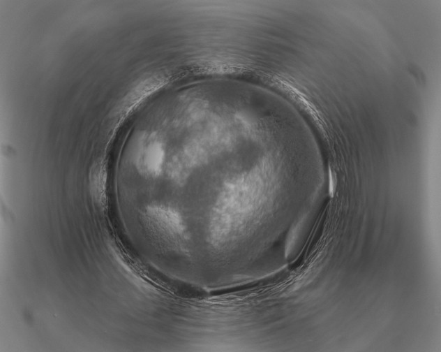 X0000090930627200708061603