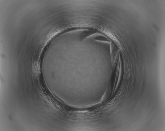 X0000090930628200708061603