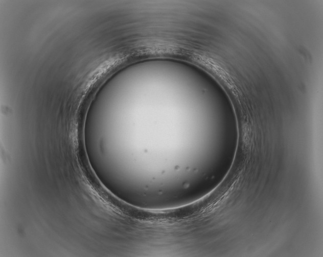 X0000090930629200708061603