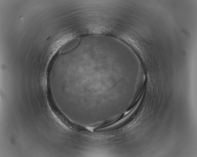 X0000090930630200708061603