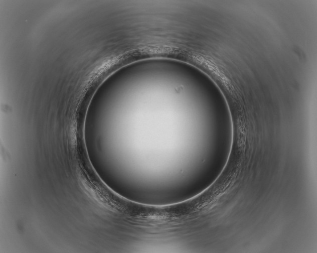 X0000090930631200708061603