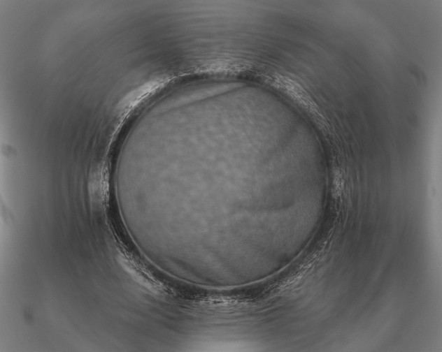 X0000090930632200708061604