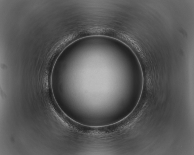 X0000090930633200708061604