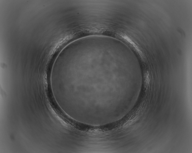 X0000090930634200708061604