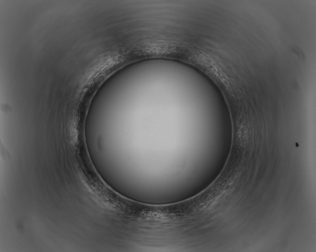 X0000090930635200708061604