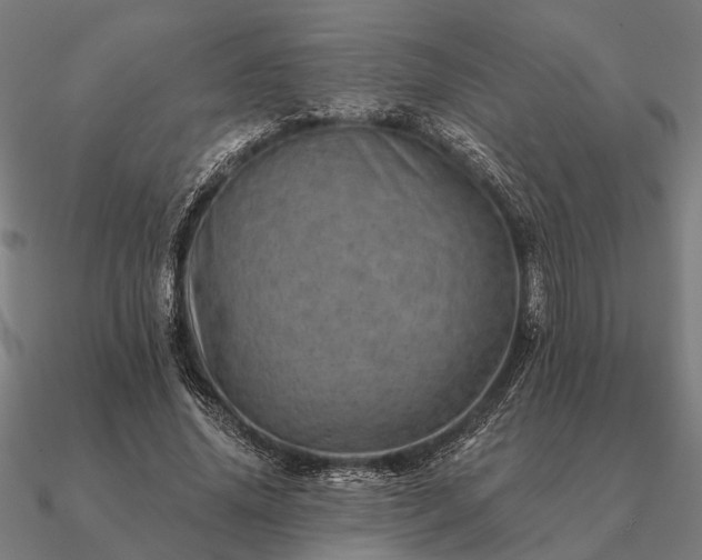 X0000090930636200708061604