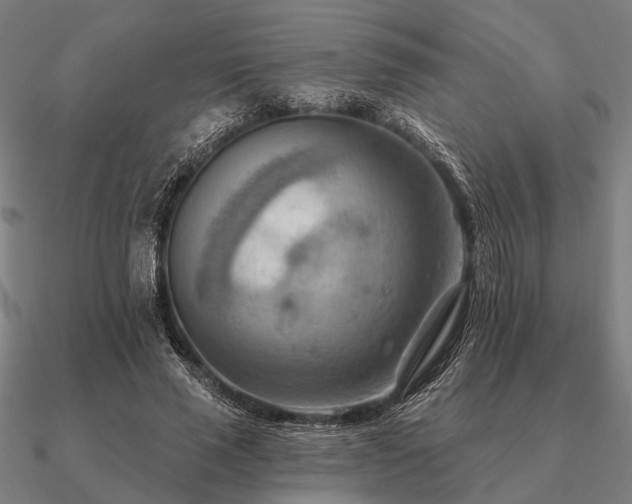 X0000090930637200708061604