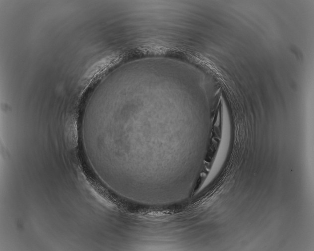 X0000090930638200708061604