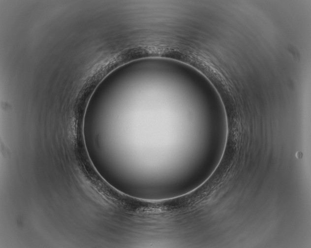 X0000090930639200708061604