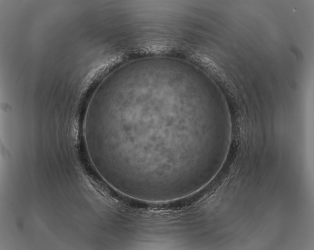 X0000090930640200708061604