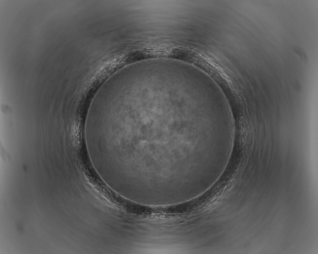 X0000090930641200708061604