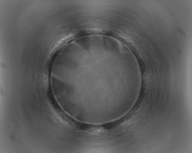 X0000090930642200708061604