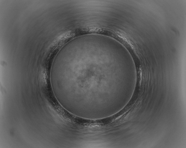 X0000090930643200708061604