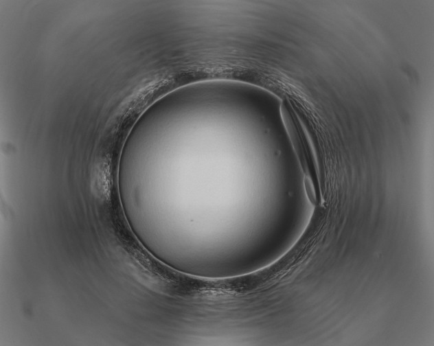 X0000090930644200708061604