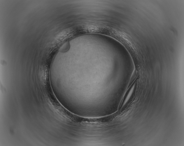 X0000090930645200708061604