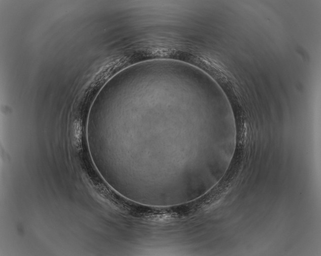 X0000090930646200708061604