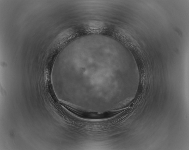 X0000090930647200708061604