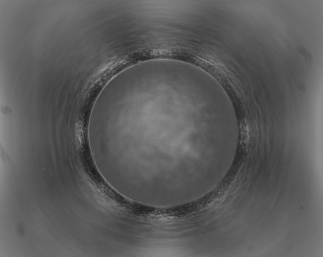 X0000090930648200708061604