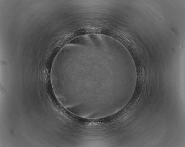 X0000090930649200708061604