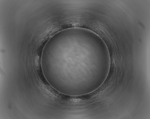 X0000090930650200708061604