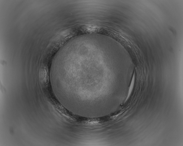 X0000090930651200708061604