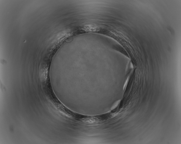 X0000090930652200708061604