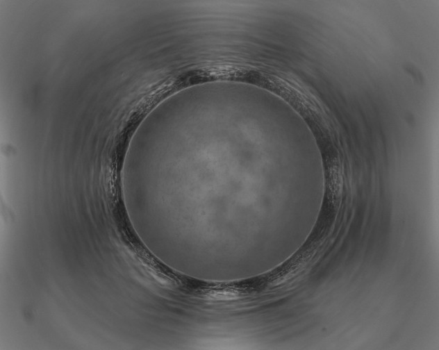 X0000090930653200708061604