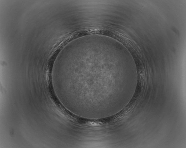 X0000090930654200708061604