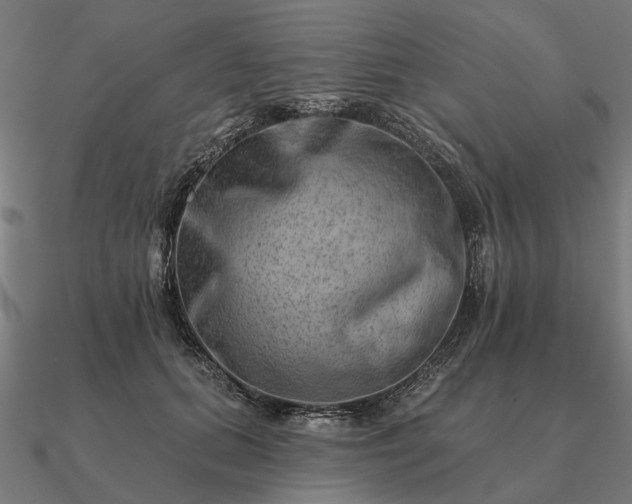 X0000090930655200708061604