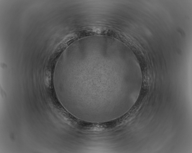 X0000090930656200708061604