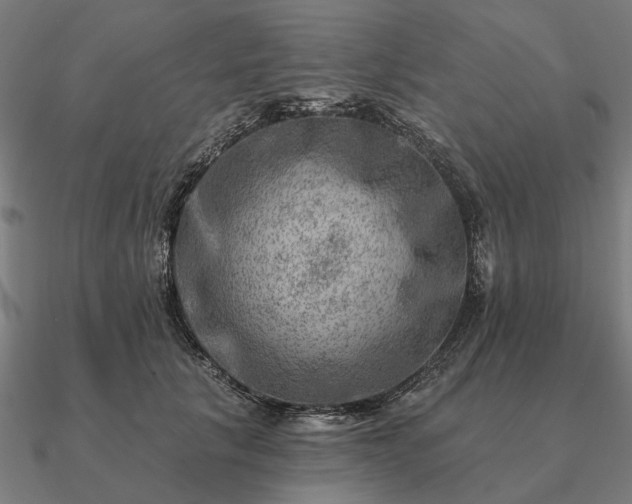 X0000090930657200708061604