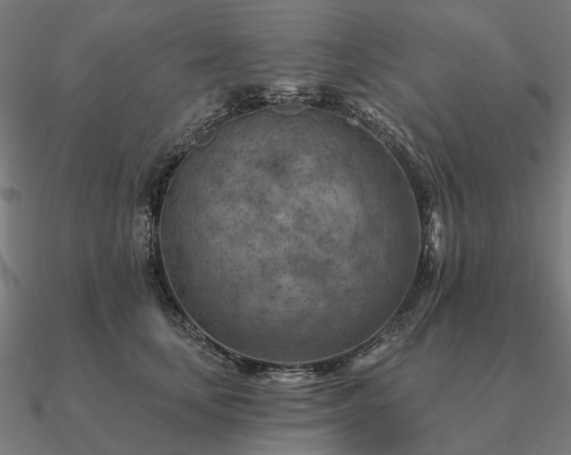 X0000090930659200708061604