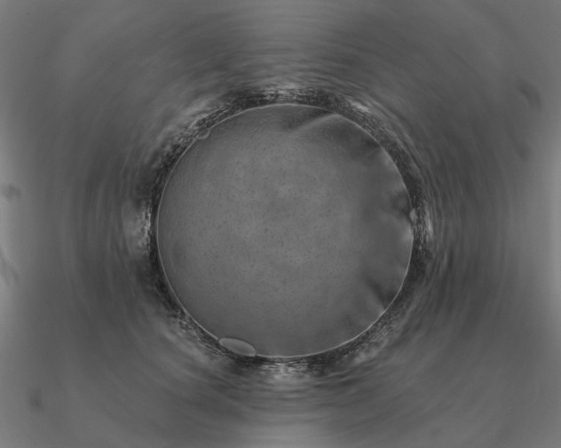 X0000090930660200708061604