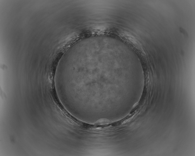 X0000090930661200708061604