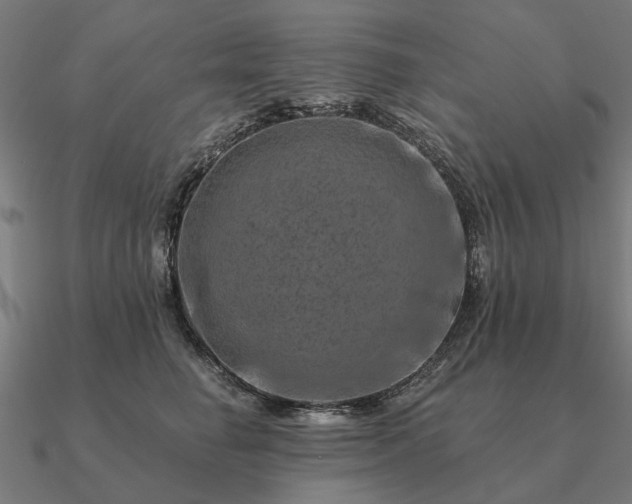 X0000090930662200708061604