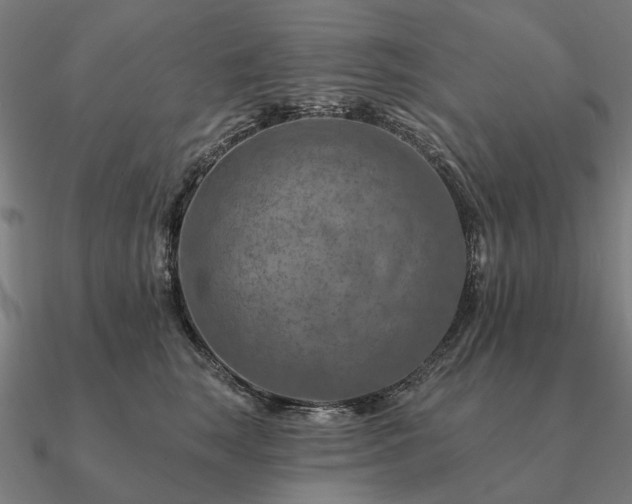 X0000090930663200708061604