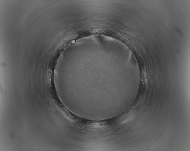 X0000090930664200708061604