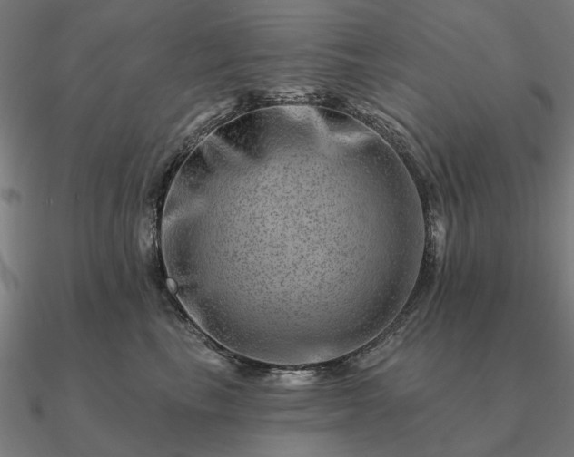 X0000090930665200708061604