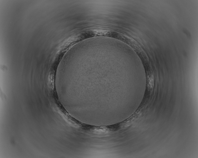 X0000090930666200708061604