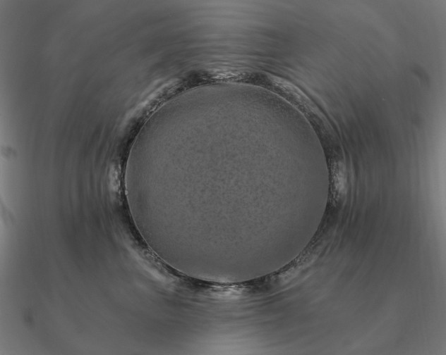 X0000090930667200708061604